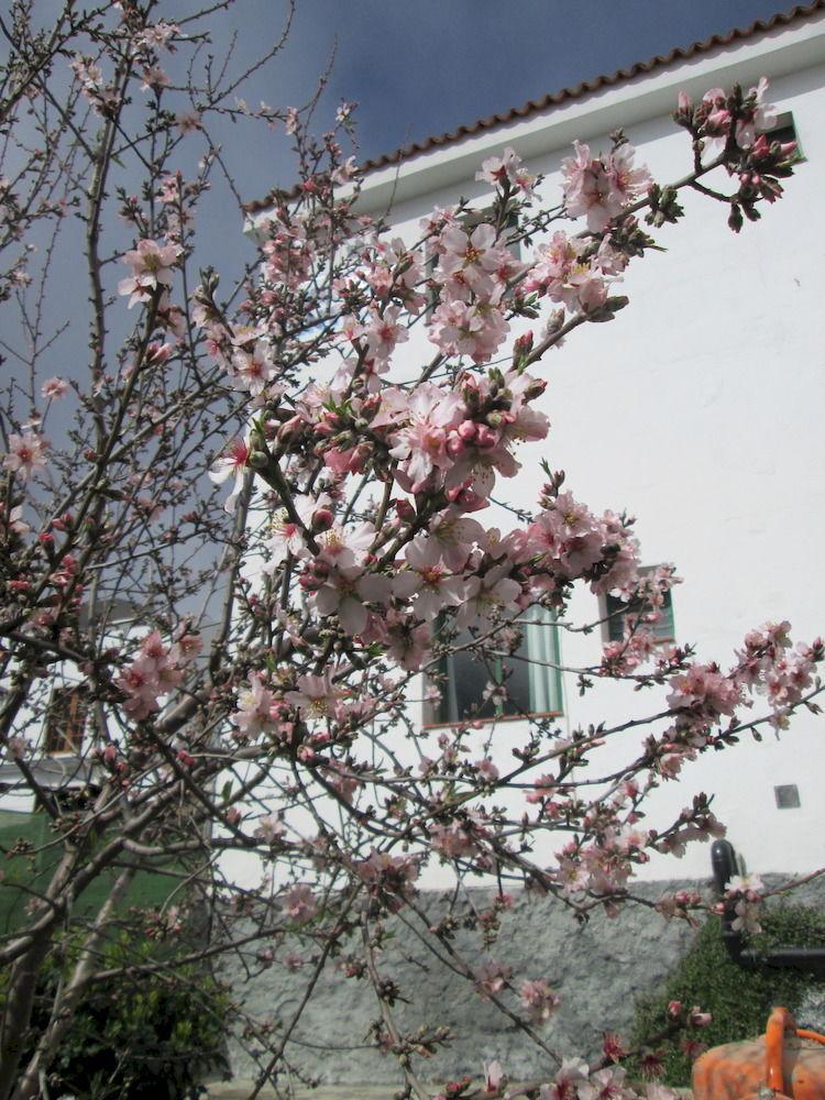 La Palma Hostel By Pension Central Фуэнкальенте-де-ла-Пальма Экстерьер фото